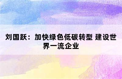 刘国跃：加快绿色低碳转型 建设世界一流企业